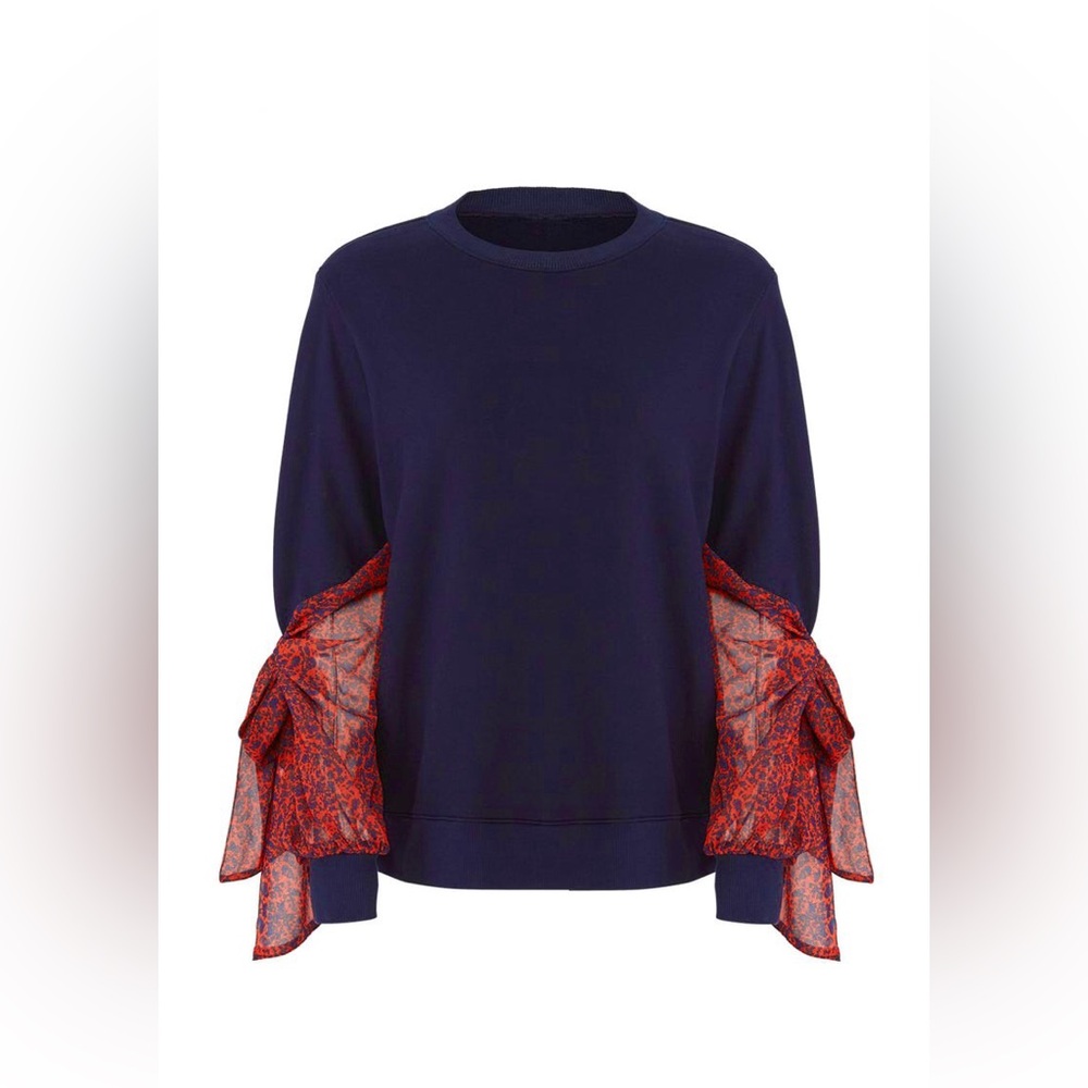 Clu Chiffon Sleeve Pullover Sweater